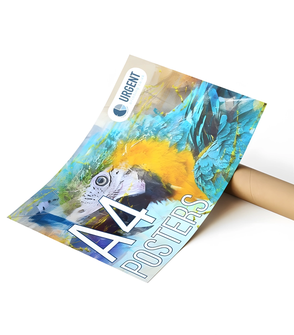 High-Quality Digital Printing Services | 33x48.7 cm Color Prints
